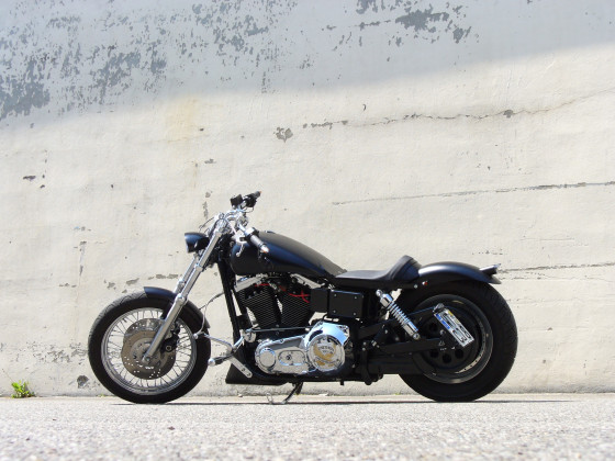 Harley Davidson Dyna FXDL Low Rider 6